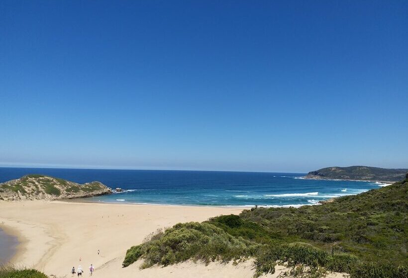 膳宿费 115 On Beachy Head Drive Guest House