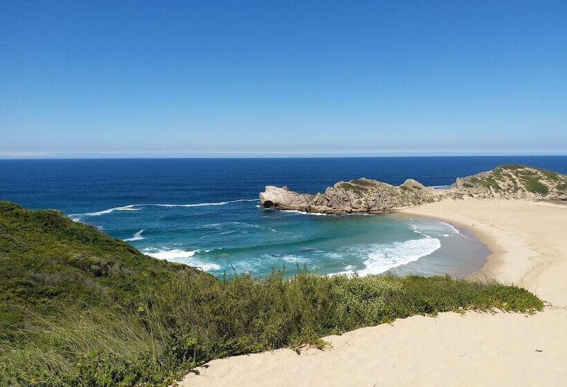 膳宿费 115 On Beachy Head Drive Guest House