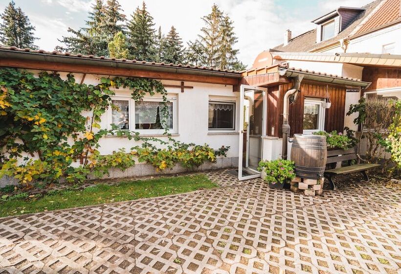 بنسيون Auberge Leipzig