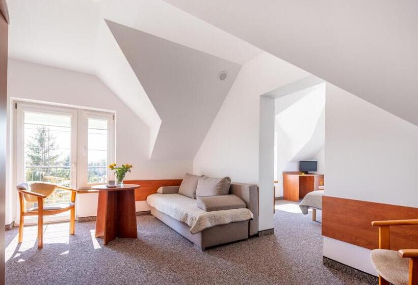 渡假胜地 Dom Gościnny Albatros I