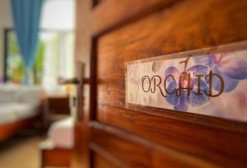 White Summerville Tourist Inn