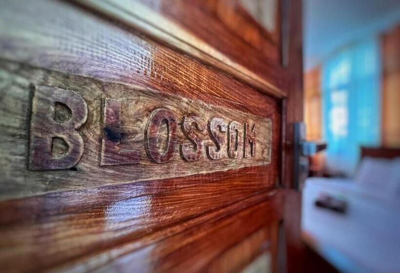 White Summerville Tourist Inn