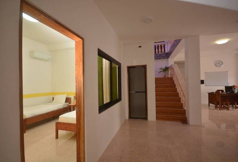 White Summerville Tourist Inn