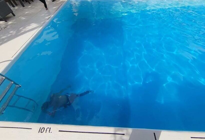 White Summerville Tourist Inn