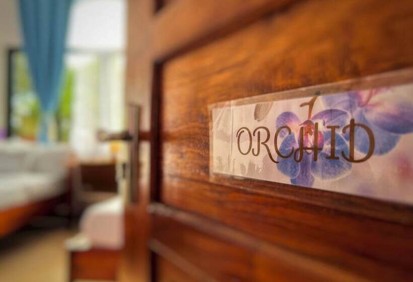 White Summerville Tourist Inn