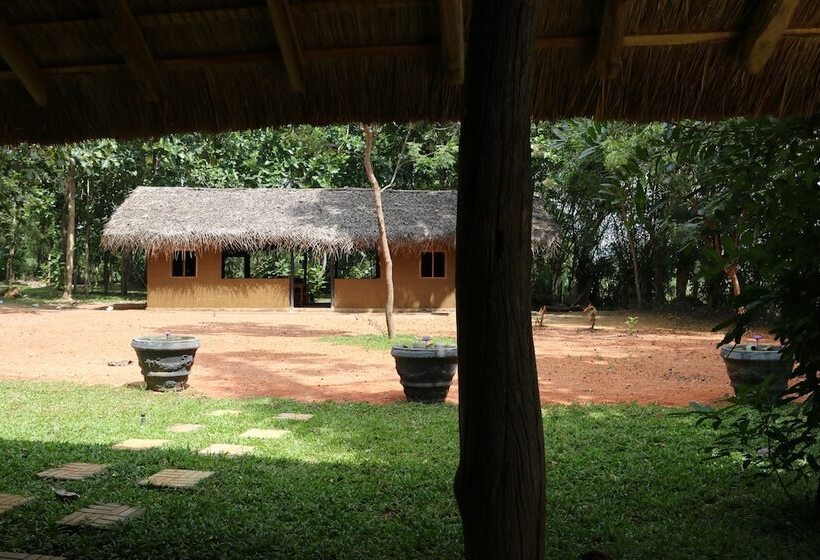 住宿加早餐 Ama Villa