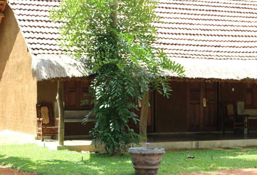 住宿加早餐 Ama Villa