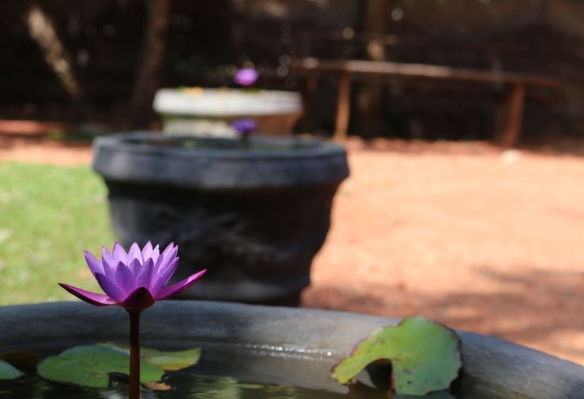 住宿加早餐 Ama Villa