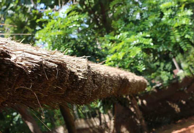 住宿加早餐 Ama Villa