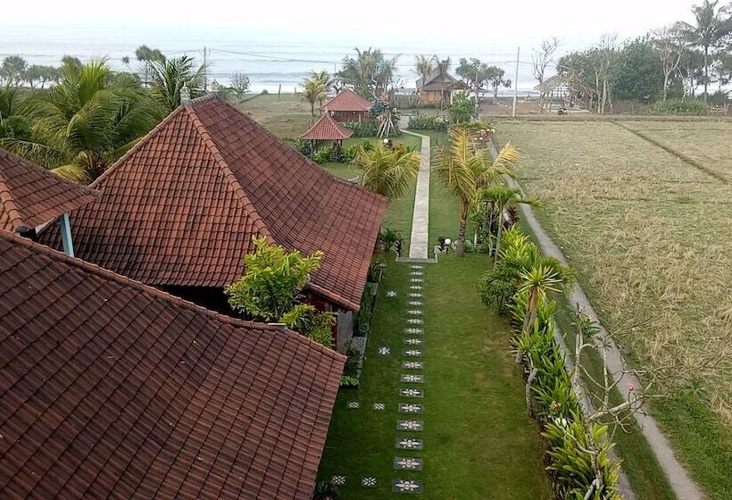 צימר Emir Surfcamp