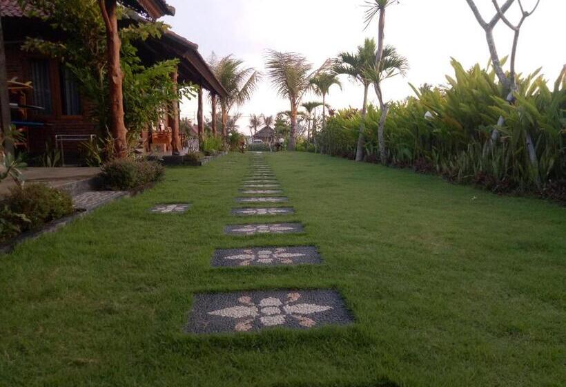 צימר Emir Surfcamp