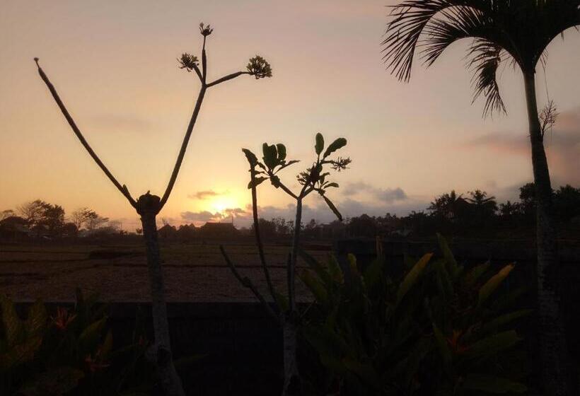 צימר Emir Surfcamp