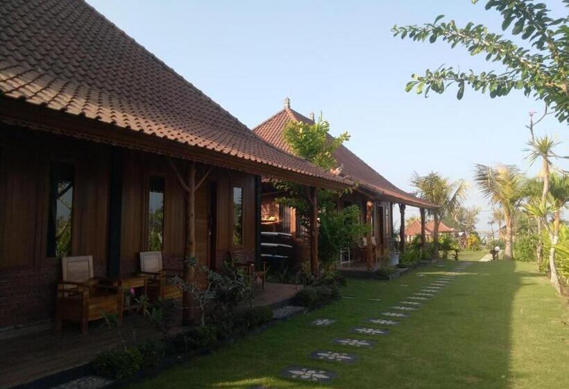 צימר Emir Surfcamp