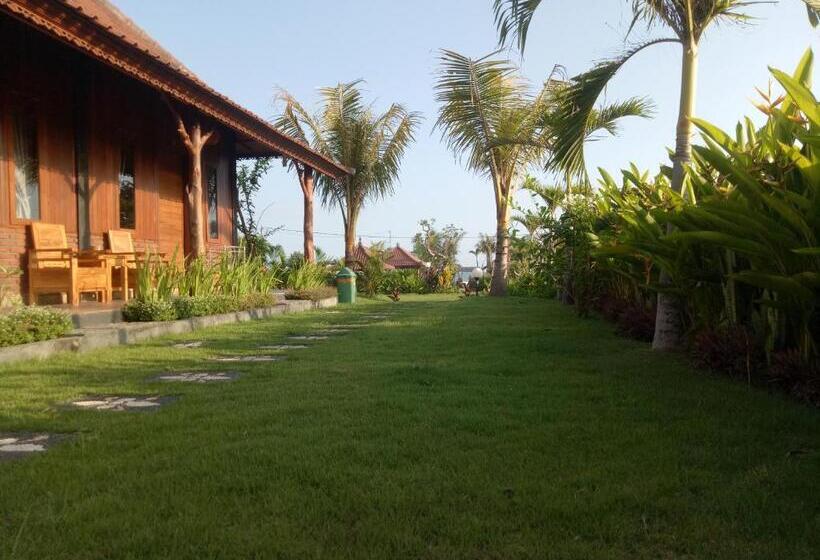 צימר Emir Surfcamp