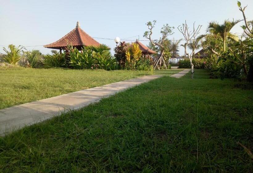 צימר Emir Surfcamp