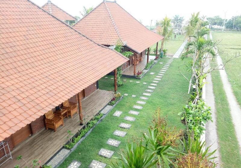 צימר Emir Surfcamp