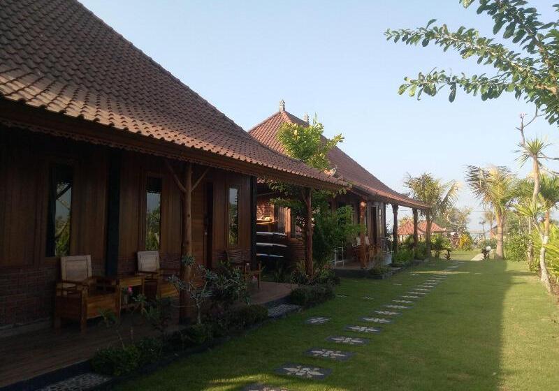 민박 Emir Surfcamp