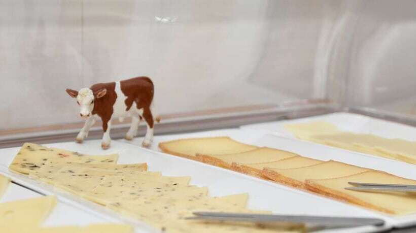 호텔 Bartmanns Haus