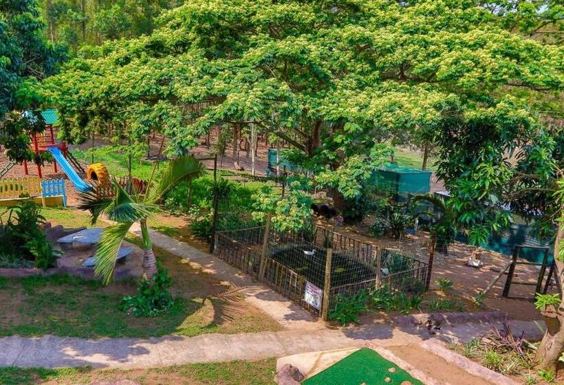 בית מלון כפרי Cheese Farm & Lodge