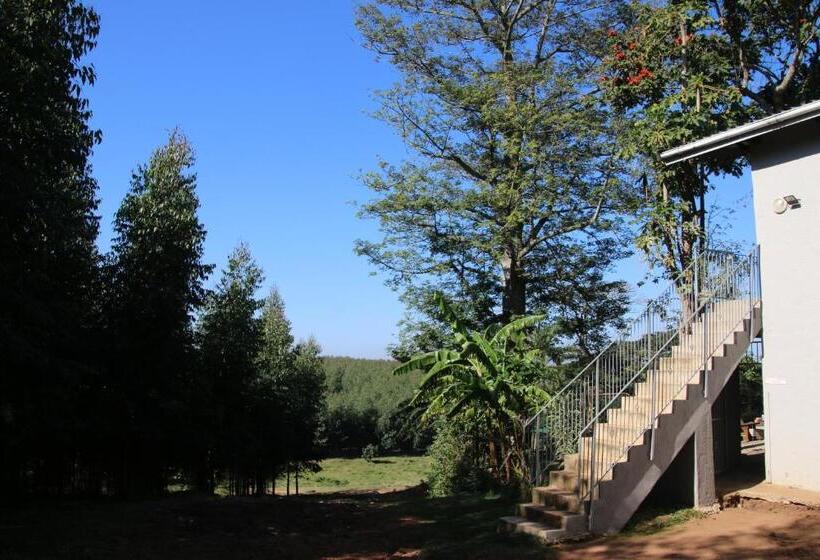 בית מלון כפרי Cheese Farm & Lodge