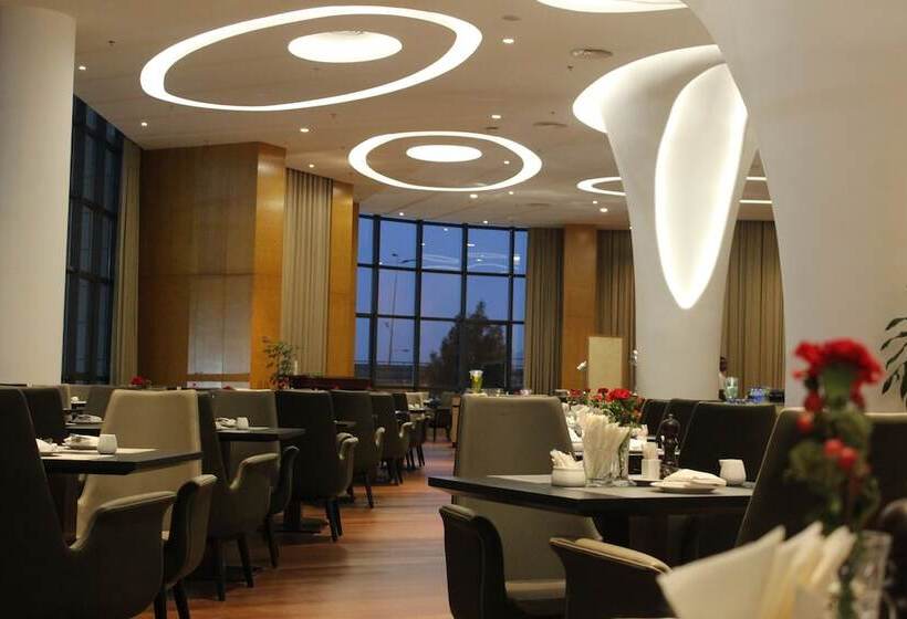 Отель Ethiopian Skylight