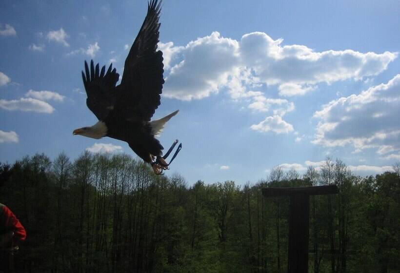 Отель Gasthaus Zum Lindenwirt