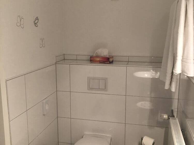 Отель Gasthaus Zum Schwan