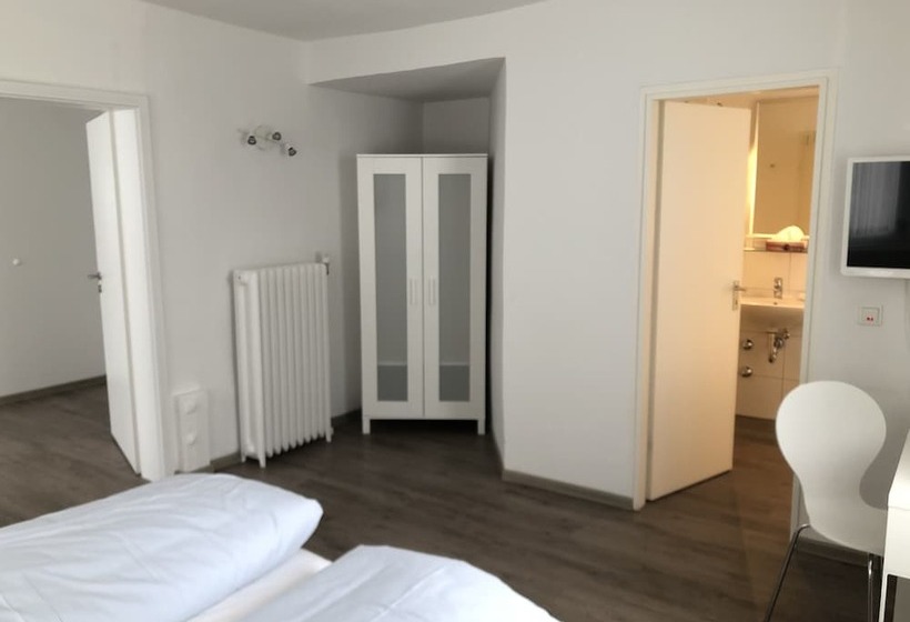 Отель Gasthaus Zum Schwan