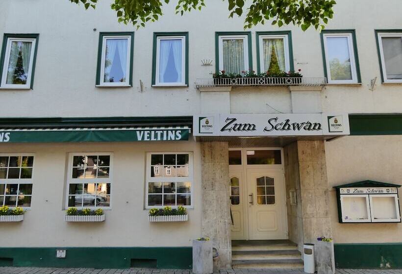 Отель Gasthaus Zum Schwan