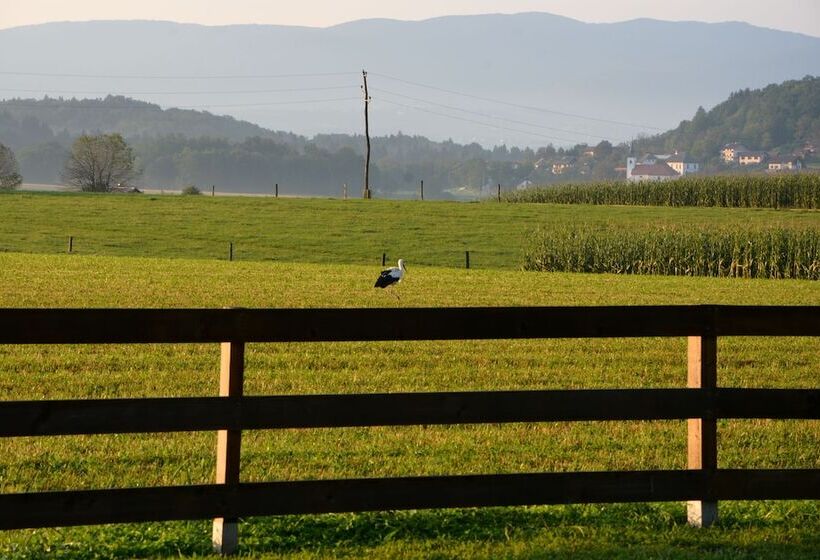 هتل Glamping Kolpa Resort