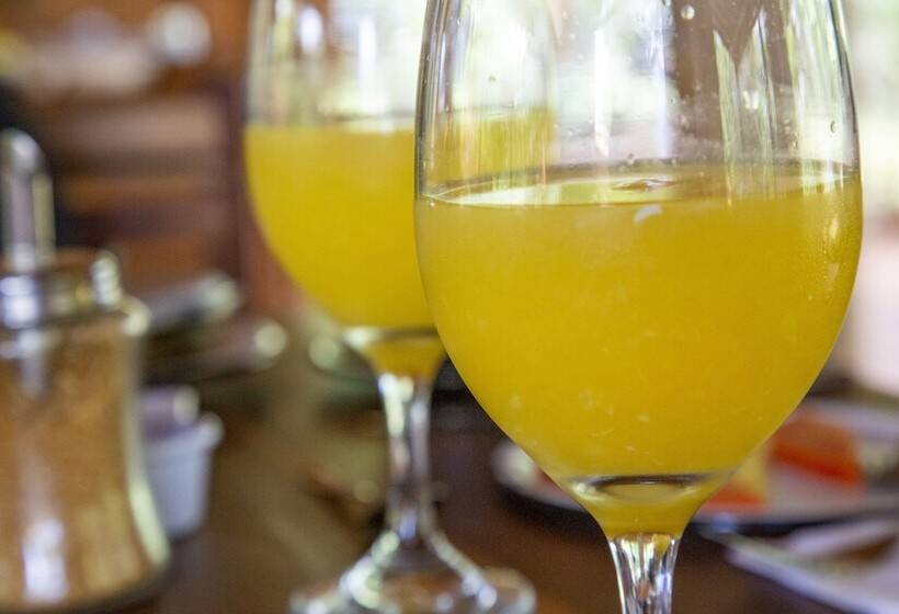 호텔 Nativo Glamping