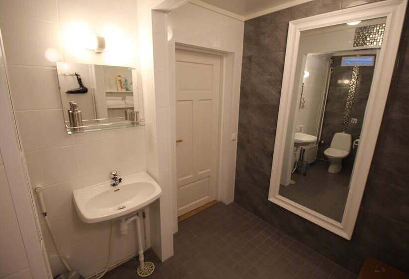 Lauri Historical Log House Manor