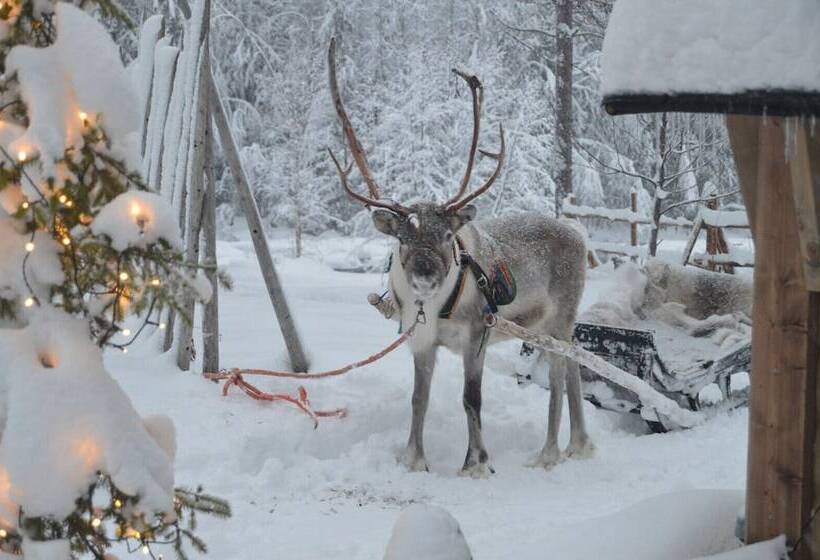 Lauri Historical Log House Manor