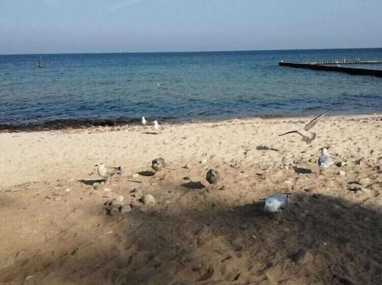 פנסיון Domki Letniskowe Uzenabow