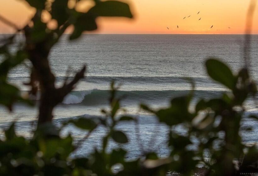 Пансион Rimavier Residence