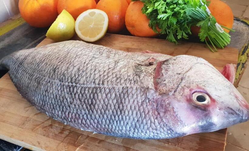 ריאדים Sultana Larache