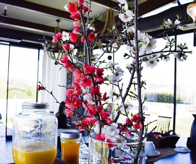 Vintage Suites Trikala