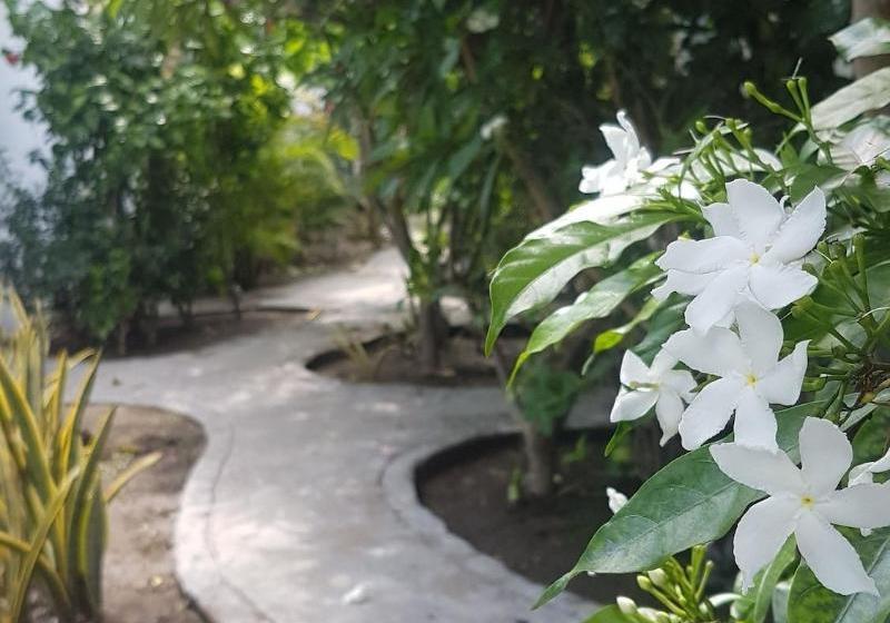 مبيت وإفطار Thairiffic Homestay