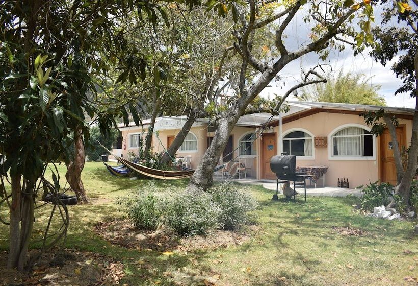 تختخواب و صبحانه Villa Ilalo