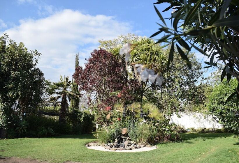 تختخواب و صبحانه Villa Ilalo