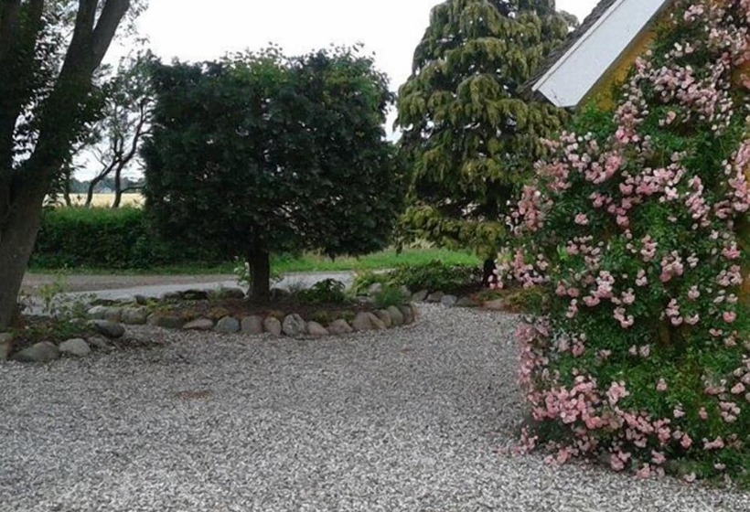 Bella Bed And Breakfast Stevns