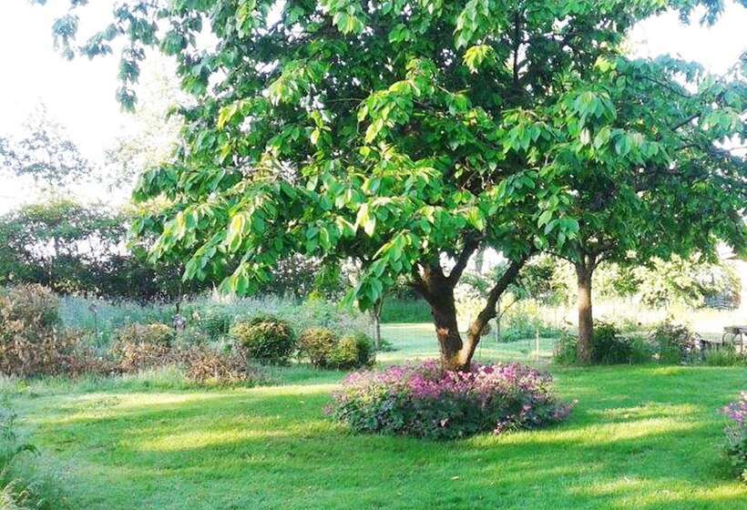 Bella Bed And Breakfast Stevns