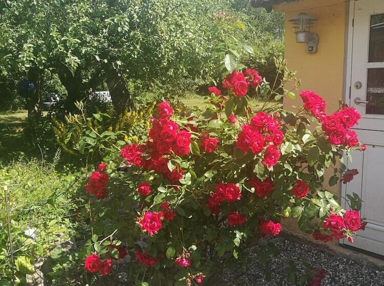 Bella Bed And Breakfast Stevns