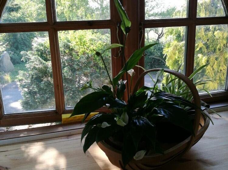 Bella Bed And Breakfast Stevns