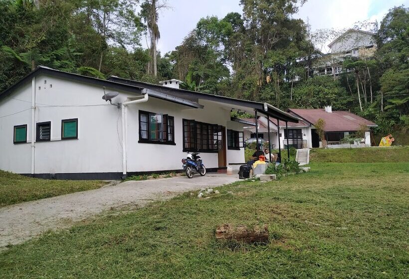 Garden Guest House   Hostel