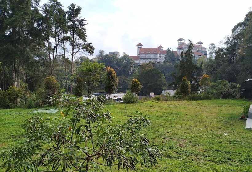 Garden Guest House   Hostel