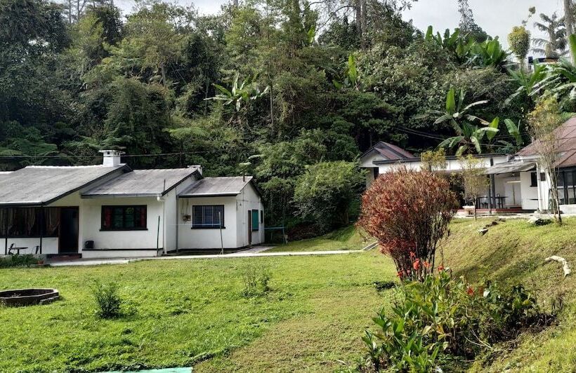 Garden Guest House   Hostel