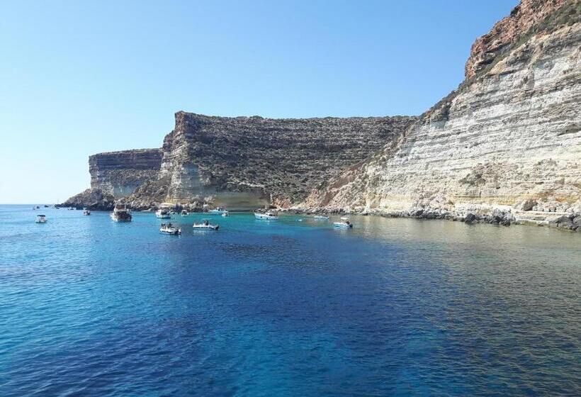 פונדק Balata Bianca