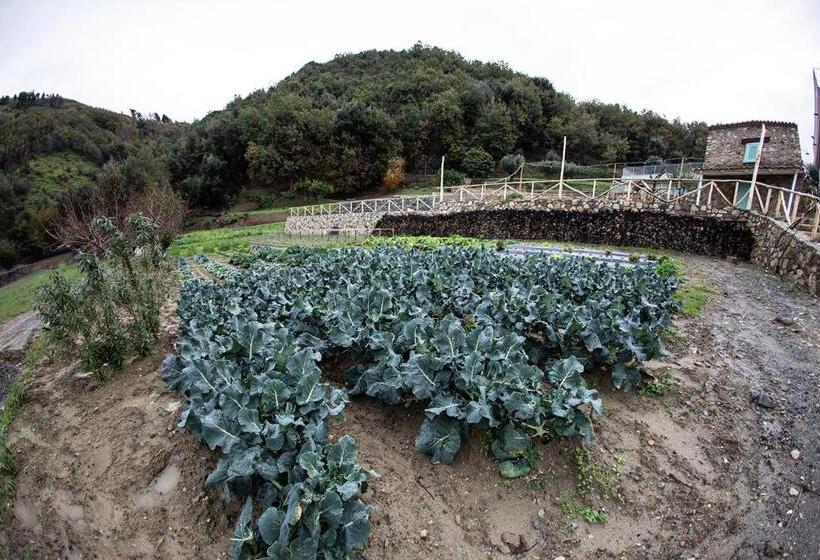 客栈  Borgo Rosso Di Sera Resort