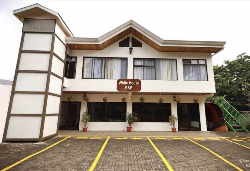 客栈  Whitehouse Bed And Breakfast